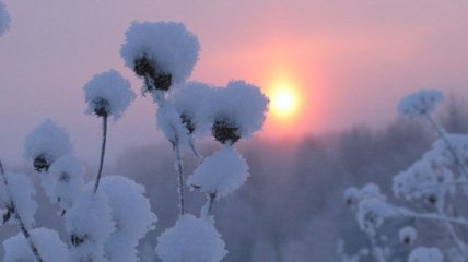 Зима в Украине: Новый год без снега и морозный февраль