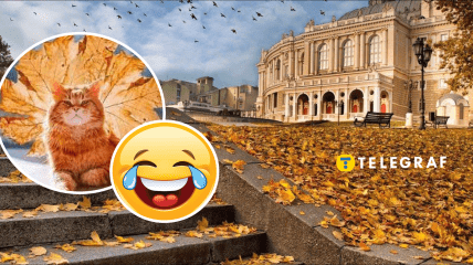 Мемы об осени и похолодании