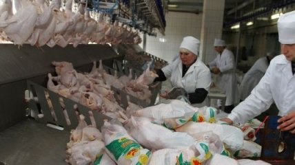Украинская курятина прошла все проверки для европейского рынка