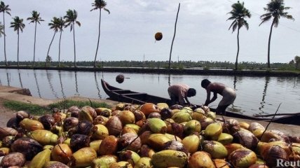 Врачи недооценивают кокосовое масло