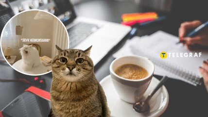 Мемы о понедельнике