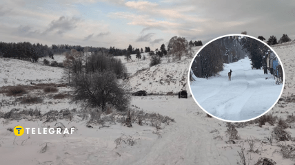 Косуля в Киевской области