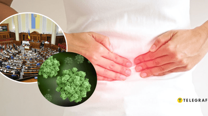 Норовирус и Верховная Рада