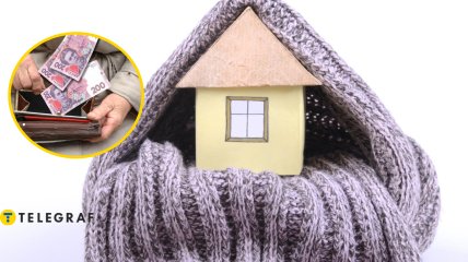 Зимова підтримка