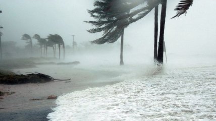 "Тенденция есть, и она реальна": ураганы в будущем станут сильнее