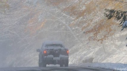 Снежная буря оставила Ньюфаундленд без электричества