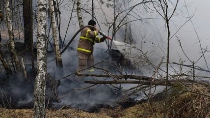 В Зоне отчуждения и Житомирской областях продолжают тушить очаги пожаров