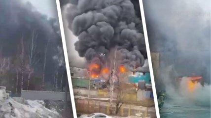 Вогонь видно зі всього Пітера: в Ленінградській області РФ спалахнула потужна пожежа (відео)