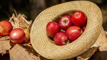 Приметы на Яблочный Спас 2019 и все о празднике: что святить и можно ли работать