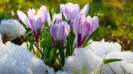 Прогноз погоды на 14 марта: в Украину снова идет похолодание