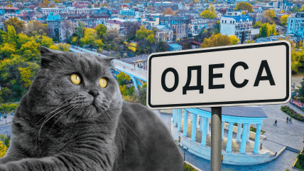 Погода в Одесі