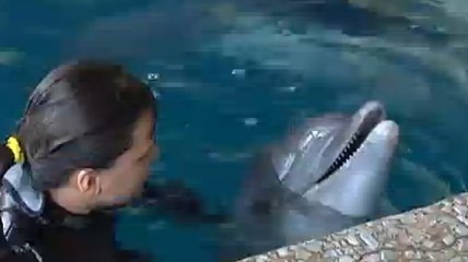 Девочка, которая упала с балкона "Юности", плавает с дельфинами