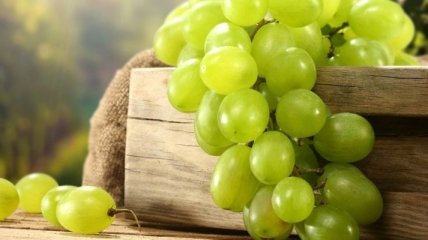 Австралийские ученые сумели клонировать виноград