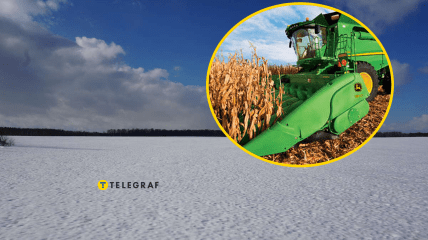 Зимовий збір урожаю