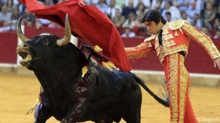 Власти Испании хотят снова разрешить корриду