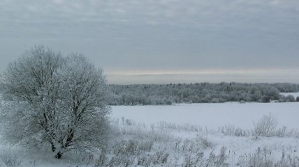 Погода в Украине 12 февраля: пасмурно, без осадков