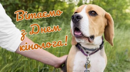 День кинолога в Украине ежегодно отмечают 2 апреля