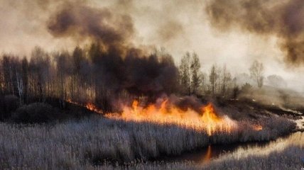Чорнобиль знову в пожежах: вогонь тепер на торфовищах
