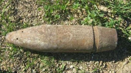 В Ботаническом саду Киева нашли артиллерийский снаряд 