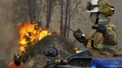 Португалия попросила ЕС помочь в борьбе с лесными пожарами