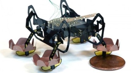Ученые из Гарварда создали удивительного робота