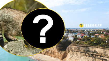 Унікальна тварина засвітилася в Одеській області