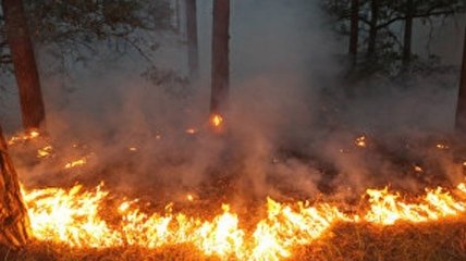 На Чернігівщині горів військовий полігон, є постраждалі