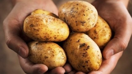 Врачи рассказали всю правду о пользе картофеля