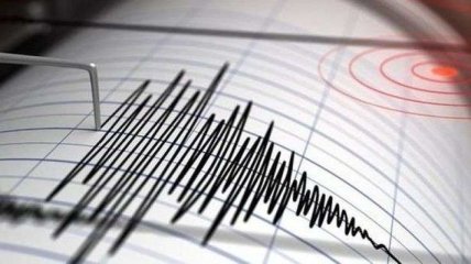 На сході Румунії відбувся землетрус