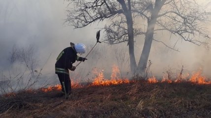 Масштабная волна пожаров в Украине: эксперты дали прогноз