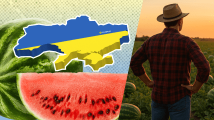 Выращивание арбузов в Украине