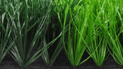 Ученые: Обыкновенная трава может стать источником водорода