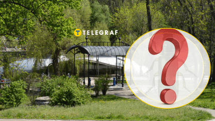 Природный парк "Голосеевский" может похвастаться новым видом жуков