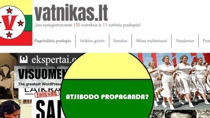 В Литве запустили аналог украинского "Миротворца" - сайт "Vatnikas"