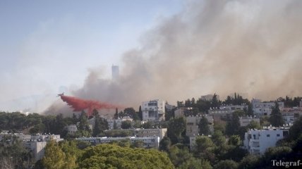 В Израиле бушуют лесные пожары, сотни людей эвакуированы