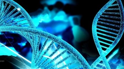 Ученые обнаружили мутации генов, сокращающие жизнь