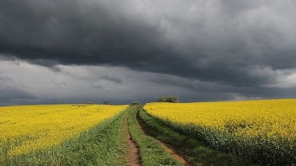 Циклон Wicca испортит погоду в Украине: синоптик озвучила прогноз на выходные