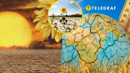 В Украине будут выращивать новые сорта культур