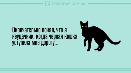 Всем прекрасного вечера: смешные анекдоты 12 апреля