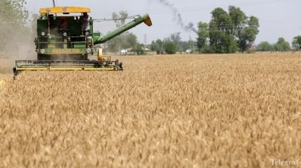 Украина экспортировала уже 37 миллионов тонн зерновых 