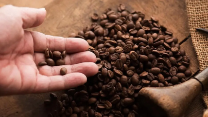 Кофе поможет укрепить растения