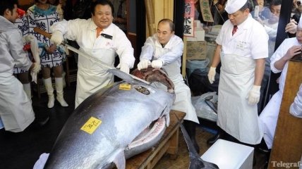 Голубой тунец продан за $1,75 млн на рыбном аукционе в Токио