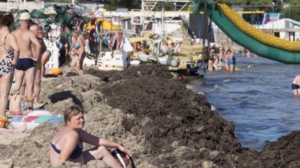 "Кучи навоза" и пустые пляжи: как отдыхают в оккупированном Крыму