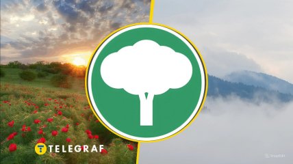 Иллюстративное фото