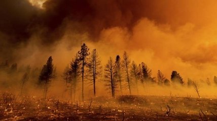 Долина Смерті виправдовує свою назву: аномально висока температура і вогненний торнадо на тлі палаючих лісів (відео)