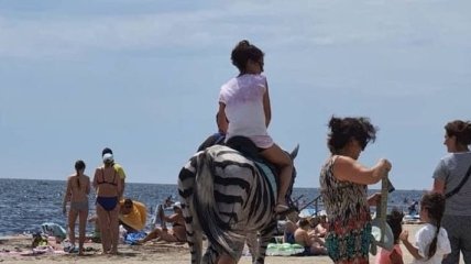 В Херсонской области лошадь перекрасили в зебру и катали туристов: в сети возмущены (видео)