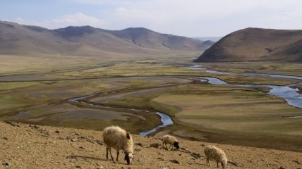 Монголия входит в 20-ку самых больших по площади стран мира