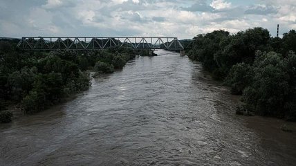 Большая вода в Черновцах: синоптики объявили штормовое предупреждение