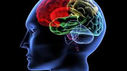 Что может защитить мозг от последствий инсульта?