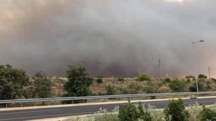 Количество жертв пожаров в Греции увеличилось